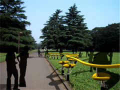 inpark.jpg